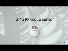 2Controller di rete wireless.4G adatto a apparecchiature LED slim